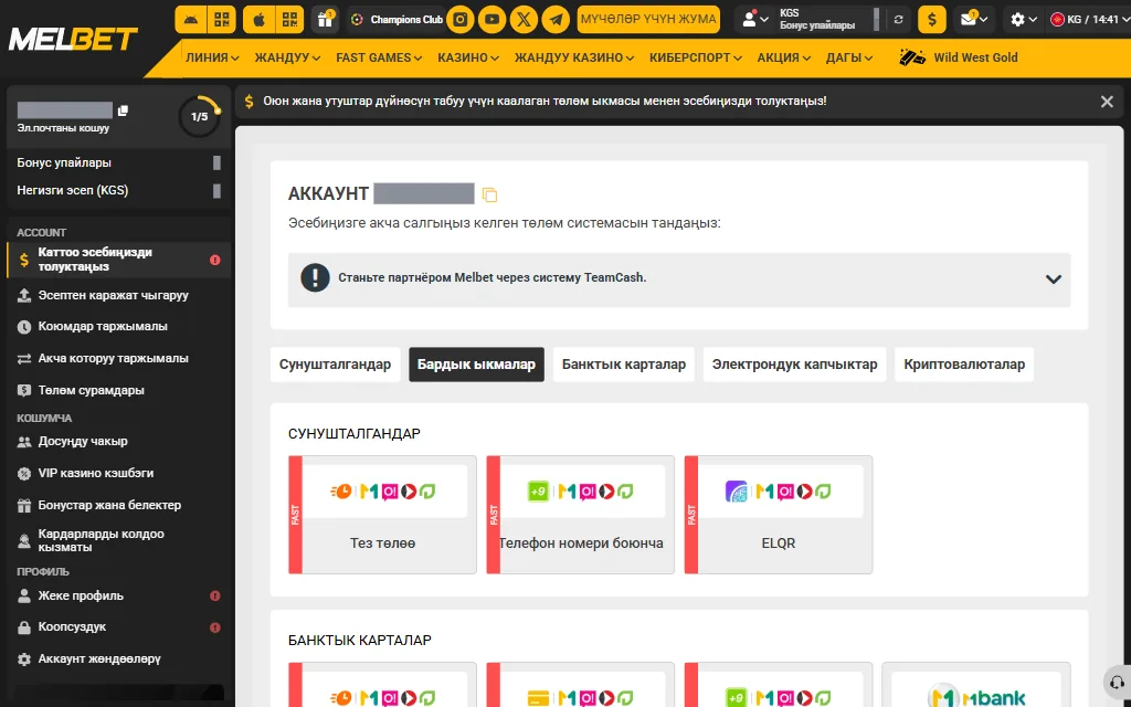 Кыргызча кассанын акча салуу барагы: «Сунушталгандар», «Бардык ыкмалар», «Банктык карталар», «Электрондук капчыктар», «Криптовалюталар» өтмөктөрү жана FAST белгиси бар ыкмалар